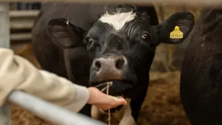 Red Meat Industry Clashes Over Livestock Export Rules
